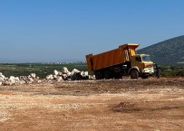 Didim'de Vadiye Moloz Dökerken Yakalandilar