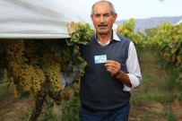 DSI'den Kurakliga Kartli Önlem