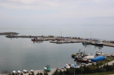 Samsun’da bu yıl balıkçıların yüzü güldü: Son 20 yılın en bereketli sezonu .