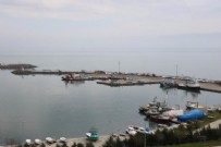 Samsun’da bu yıl balıkçıların yüzü güldü: Son 20 yılın en bereketli sezonu .