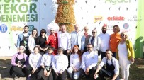 Didim Vegfest Rekorlara Doymuyor
