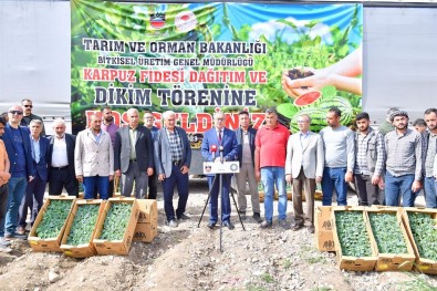 Diyarbakir'da 115 Bin Karpuz Fidesi Dagitildi