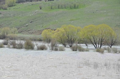 Kars'ta Agaçlar Baraj Sulari Altinda Kaldi