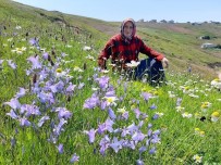 Kuslara Yem Vermek Isterken Hayatini Kaybetti