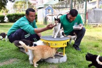 Mersin'de 2022 Yili Içerisinde 6 Bin 500 Kedi Ve Köpek Kisirlastirildi
