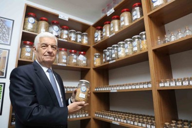 18 Milyon Ata Tohumu Dagitildi