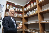 18 Milyon Ata Tohumu Dagitildi