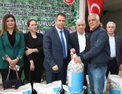 Elazig'da Çiftçilere Yüzde 75 Hibeli Fasulye Tohumu Dagitildi