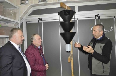 Böcek Saldirisina Ugrayan Arnavutluk'un Ormanlari, Türkiye'ye Emanet