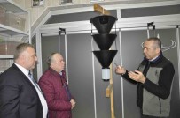 Böcek Saldirisina Ugrayan Arnavutluk'un Ormanlari, Türkiye'ye Emanet