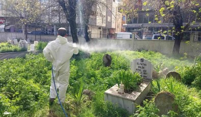 Siirt'te Mezarliklarda Yabani Otlara Karsi Ilaçlama Çalismasi Baslatildi