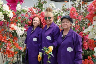 Tazelenme Ögrencilerinde Staj Heyecani