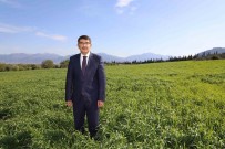 Belediyenin Bugdaylari Ihtiyaç Sahiplerine Un Olacak