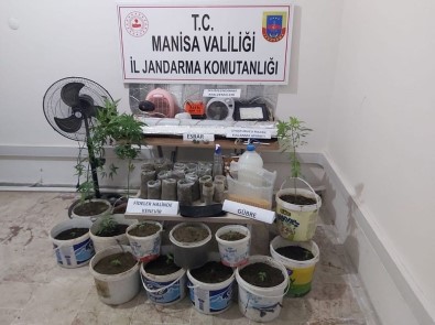 Saruhanli'da Saksida Uyusturucu Yetistiren Kisi Yakalandi