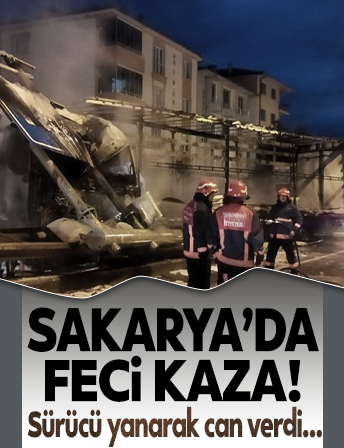 Yer Sakarya: TIR kazada alev aldı, şoförü öldü!