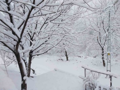 Tunceli'de 8 Nisan'da 20 Santimlik Kar Sürprizi
