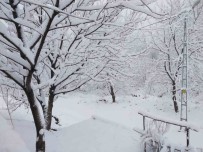 Tunceli'de 8 Nisan'da 20 Santimlik Kar Sürprizi Haberi