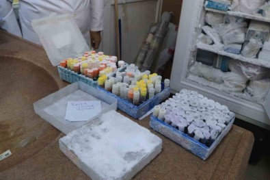 Türkiye Için Çok Önemli Bir Mantar Koleksiyonu Açiklamasi 25 Yilda Dogadan Toplandi