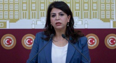 HDP'li Sibel Yiğitalp'ten özerklik mesajı: YPS'ye başarılar diliyorum