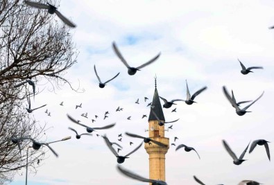 Erzurum'da Bin 601 Cami Bulunuyor