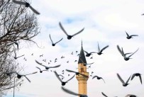 Erzurum'da Bin 601 Cami Bulunuyor