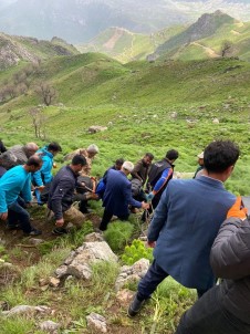 Siirt'te Yaban Bitkisi Toplarken Kayaliklardan Düsen 60 Yasindaki Adam Öldü