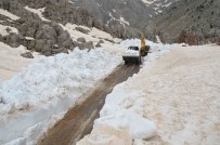 Antalya'da Karla Mücadele