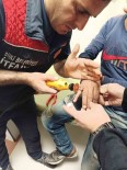 Siirt'te Bir Gencin Parmagina Sikisan Yüzük Itfaiye Ekiplerince Çikarildi Haberi