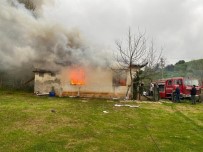 Benzin Dökerek Evi Yakti, Yasli Kadin Kendini Zor Disari Atti