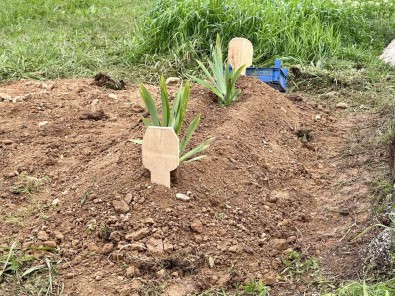 Ölü Bulunan 5 Aylik Bebegin Bakimsizliktan Öldügü Ortaya Çikti Açiklamasi Anne Ve Sevgilisi Tutuklandi