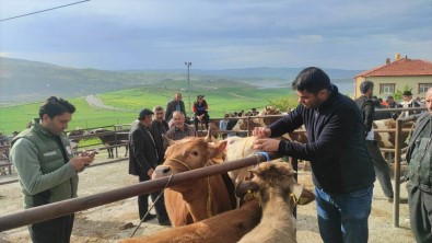 Yozgat'ta Canli Hayvan Pazarlarinda Sap Hastaligina Karsi Siki Tedbirler Sürüyor