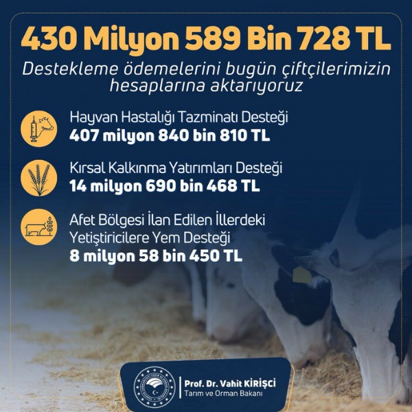 Bugün hesaplarda! Tarımsal destekleme ödemesi yapılıyor
