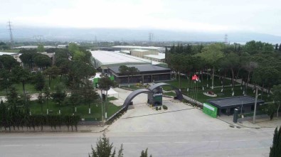 Dünya Tariminin Nabzi Orhangazi'de Atacak