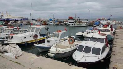 Karabiga'da Jumbo Karides Av Sezonu 15 Mayis'ta Basliyor