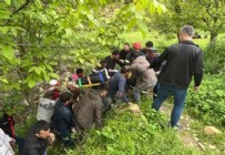 Kontrolden çıkan otomobil uçuruma yuvarlandı