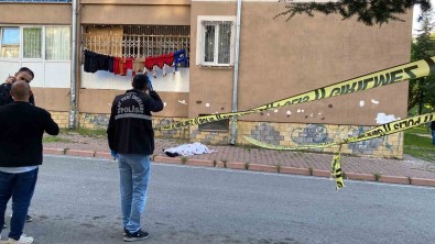 3. Kattan Düsen Kanser Hastasi Hayatini Kaybetti