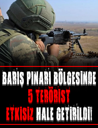 Barış Pınarı bölgesinde 5 terörist etkisiz hale getirildi