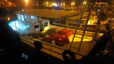 Çanakkale'de piyasa değeri 2 milyon TL olan kum midyesi ele geçirildi