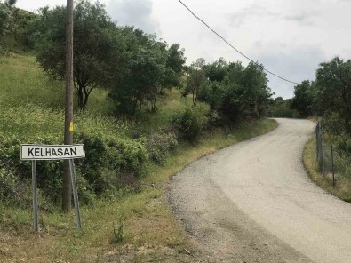 Bin 300 Rakimda Yetistirilen Çilek Çiftçinin Yüzünü Güldürüyor