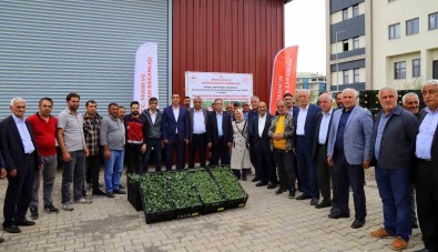 Bingöl'de Yüzde 75 Hibe Ile 630 Bin Sebze Fidesi Dagitildi