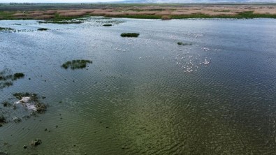Bir Çok Yerinde Kuruma Baslayan Eber Gölü Ile Ilgili Sevindiren Gelisme