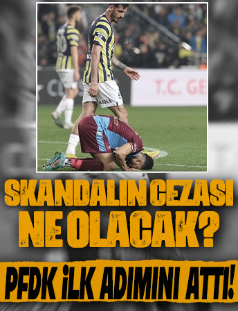 Fenerbahçeli Samet Akaydin PFDK'ya sevk edildi