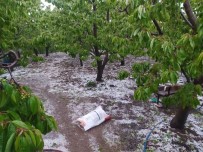 Suluova'da Saganak Ve Dolu 4 Köyde Arazileri Vurdu
