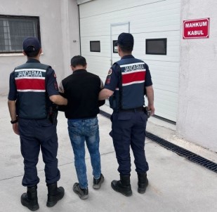 10 Yil 5 Ay Hapis Cezasiyla Aranan Sahsi Jandarma Yakaladi