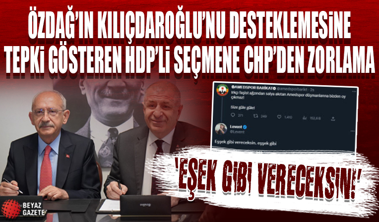 Özdağ olduğu için Kılıçdaroğlu'na oy vermek istemeyen seçmene CHP'li den zorlama: 'Eşek gibi vereceksin'