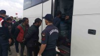 Sivas'ta Tirin Dorsesinden 134 Kaçak Göçmen Çikti Haberi