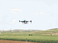 Teknoloji Ile Tanisan Çiftçi, Drone Ile Zirai Ilaçlama Yapiyor Haberi