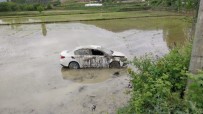 Sinop'ta Otomobil Çeltik Tarlasina Uçtu Açiklamasi 1 Yarali Haberi