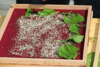 Elazig'da Egitimi Tamamlayan 25 Üreticiye 90 Kutu Ipek Böcegi Larvasi Dagitildi