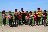 Tescilli Adana Karpuzu Dünya Sofralarini Da Süslüyor